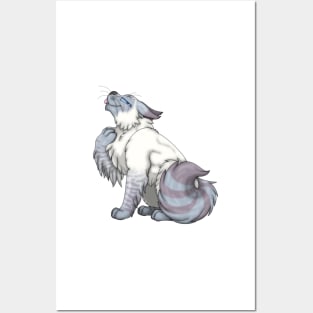 Blue Lynx Point Longhair Posters and Art